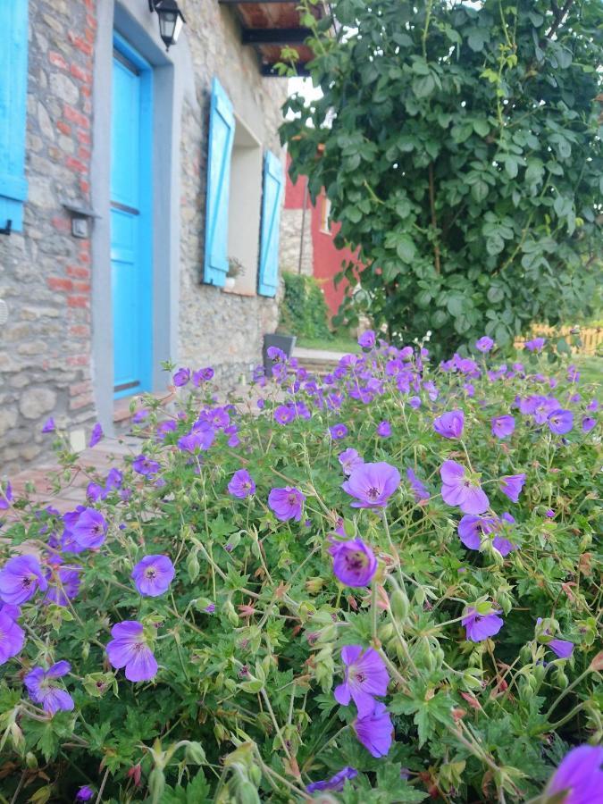 B&B La Casa Dei Cuori Millesimo Eksteriør bilde